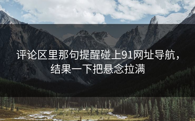 评论区里那句提醒碰上91网址导航，结果一下把悬念拉满