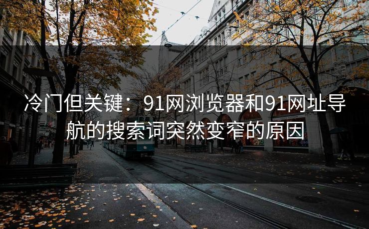 冷门但关键：91网浏览器和91网址导航的搜索词突然变窄的原因