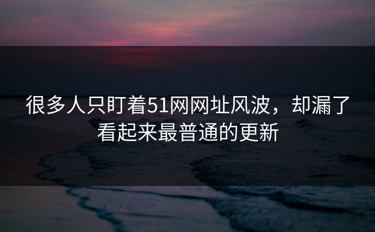 很多人只盯着51网网址风波，却漏了看起来最普通的更新