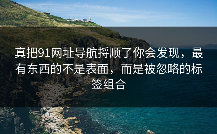 真把91网址导航捋顺了你会发现，最有东西的不是表面，而是被忽略的标签组合