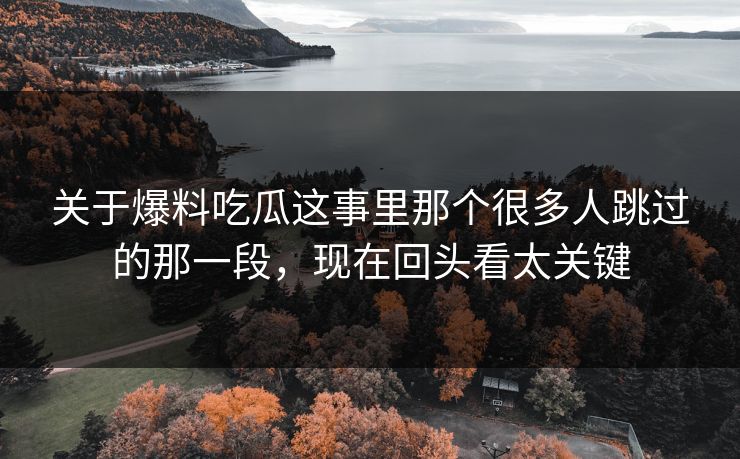 关于爆料吃瓜这事里那个很多人跳过的那一段，现在回头看太关键