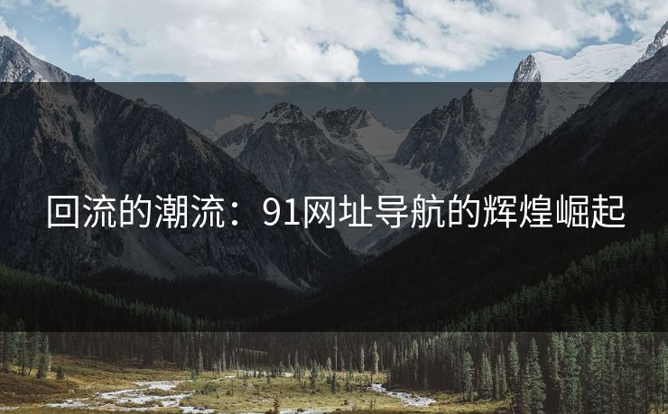 回流的潮流：91网址导航的辉煌崛起