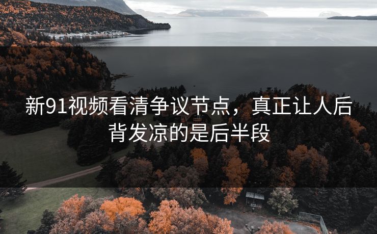 新91视频看清争议节点，真正让人后背发凉的是后半段